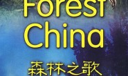  CCTV large-scale documentary: Forest China 11 episodes online viewing and HD download