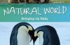  [English subtitles] Animal World Documentary: BBC Natural World Animal Motherhood Bringing Up Baby 1 episode